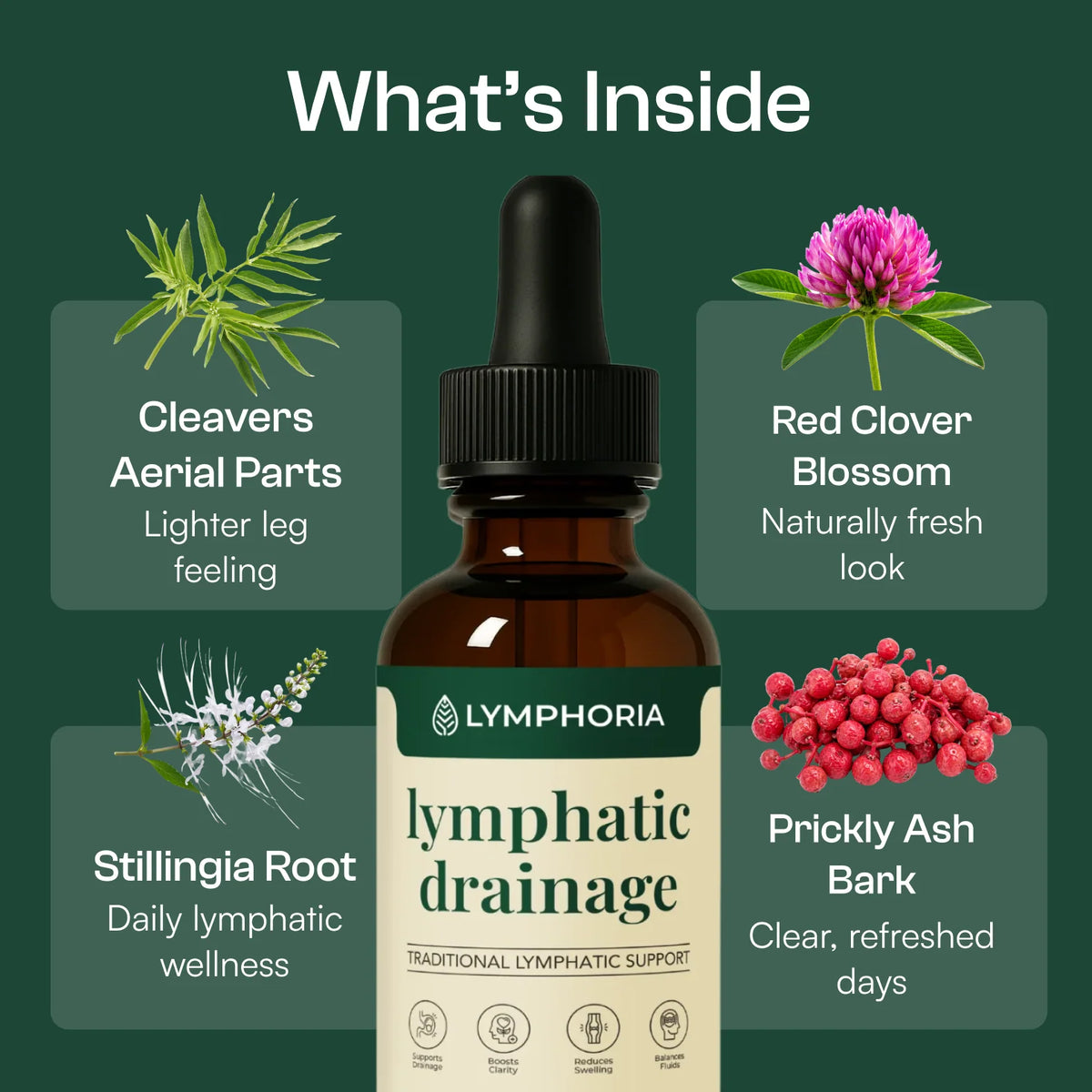 Lymphoria Drainage Drops